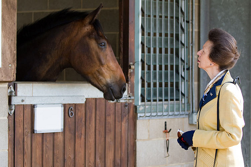 Princess Anne Royal                                                             